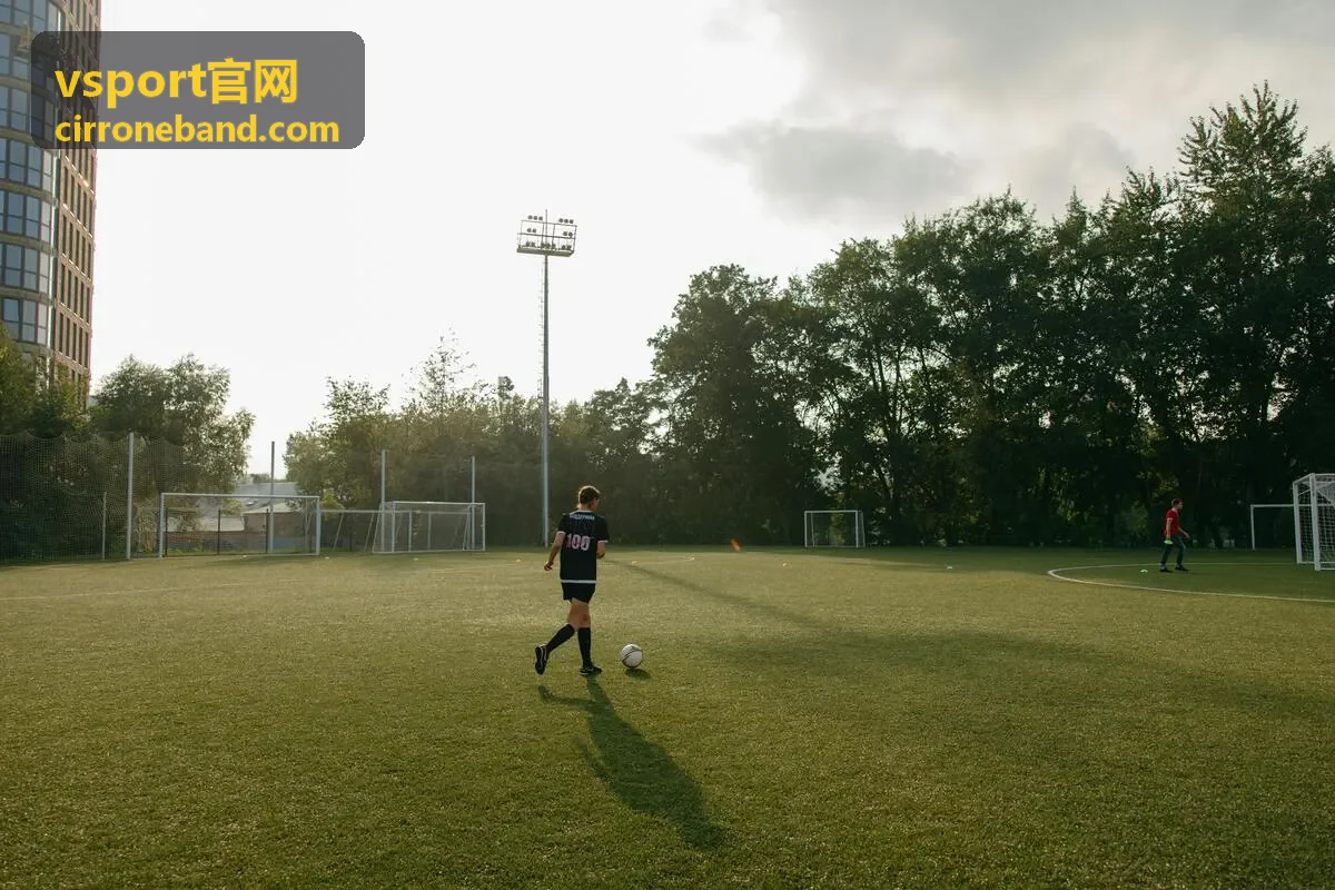 vsport官网现场票种升级与同行人名额说明配图